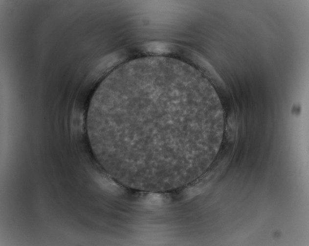X0000101390330200808041023