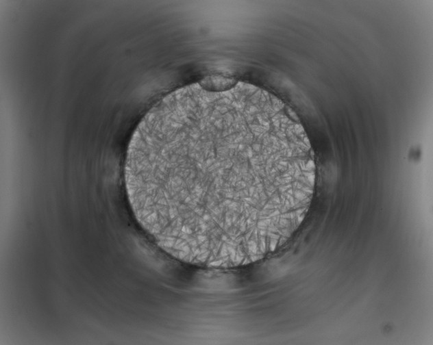 X0000101390331200808041023