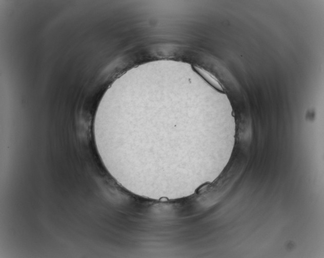 X0000101390332200808041023