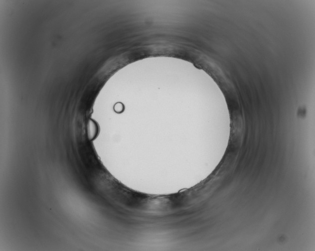 X0000101390333200808041023