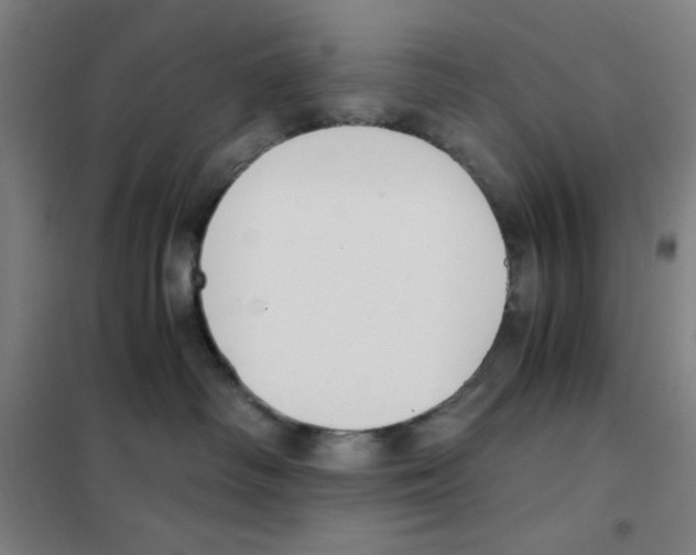 X0000101390334200808041023