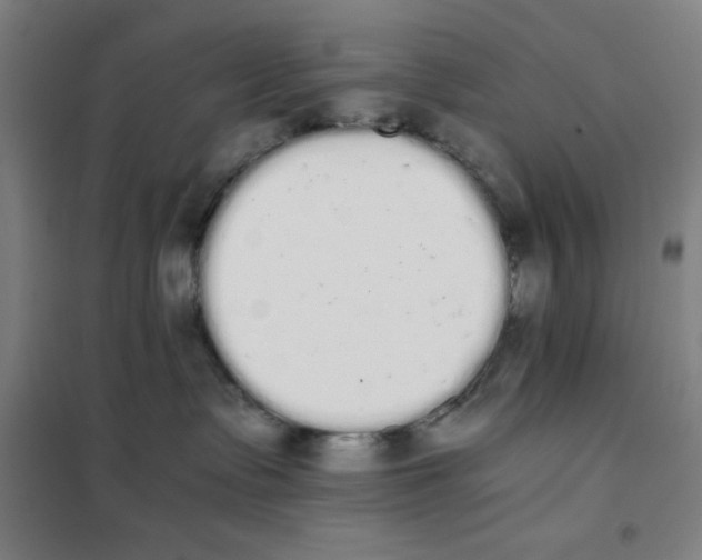 X0000101390335200808041023