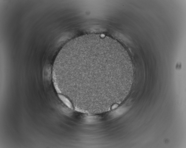 X0000101390336200808041023
