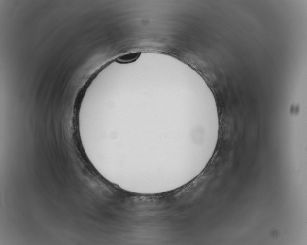 X0000101390338200808041022