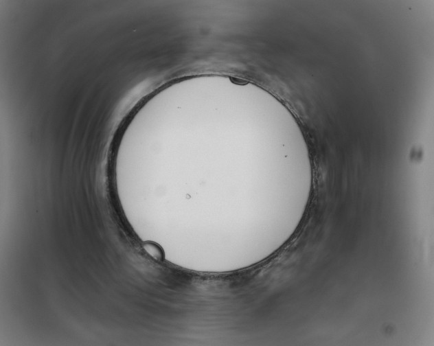 X0000101390340200808041022
