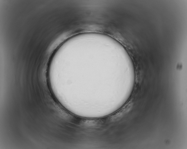 X0000101390341200808041022