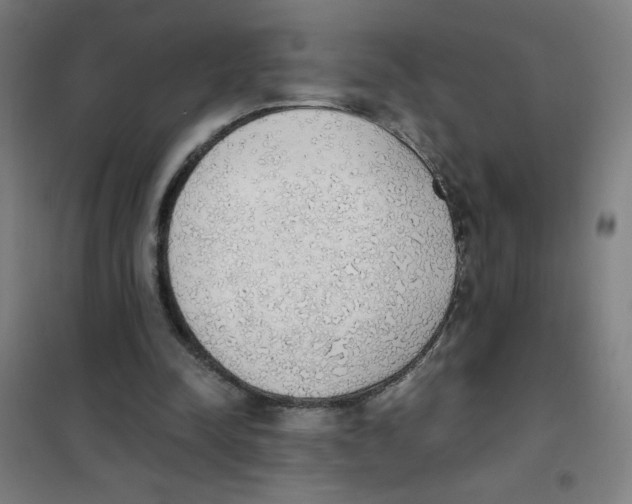 X0000101390342200808041022