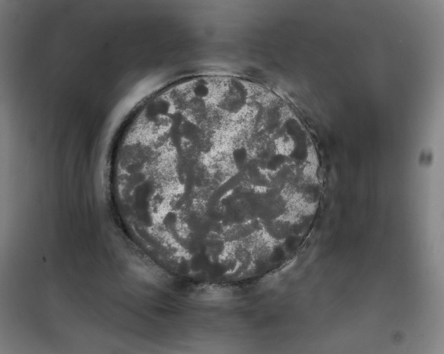 X0000101390343200808041022
