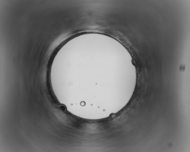 X0000101390344200808041022