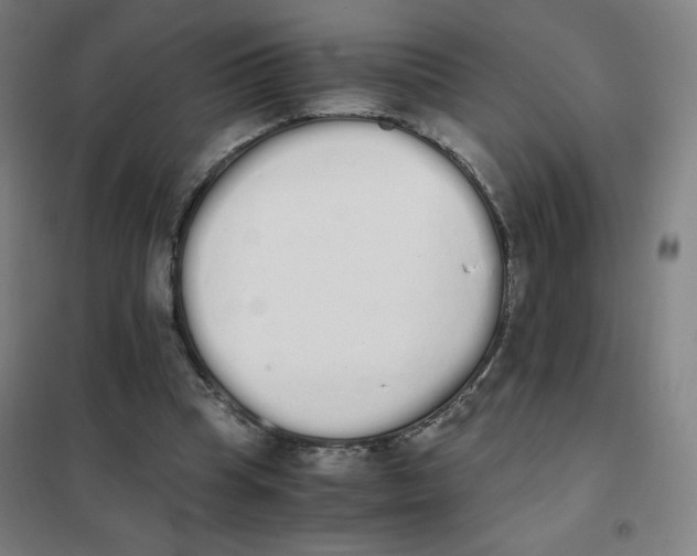 X0000101390345200808041022
