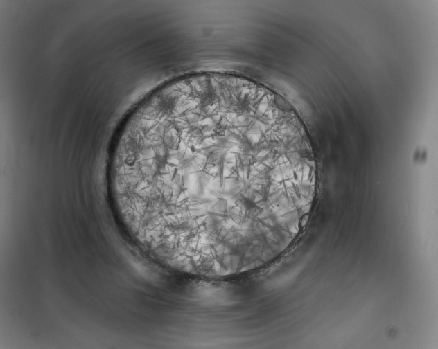 X0000101390346200808041022