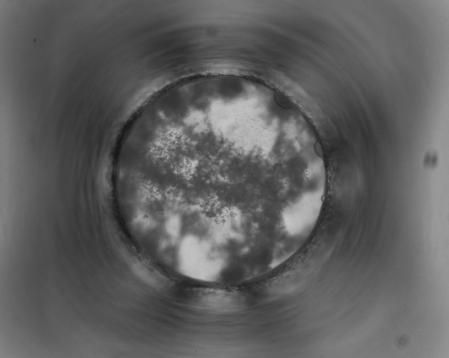 X0000101390347200808041022