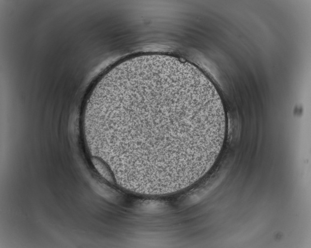 X0000101390348200808041022