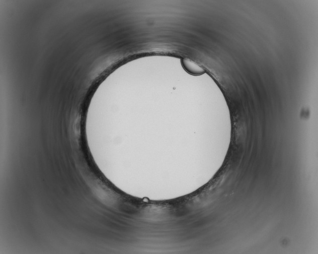 X0000101390350200808041022