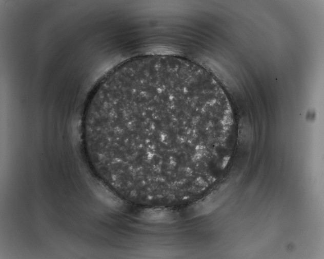 X0000101390351200808041022