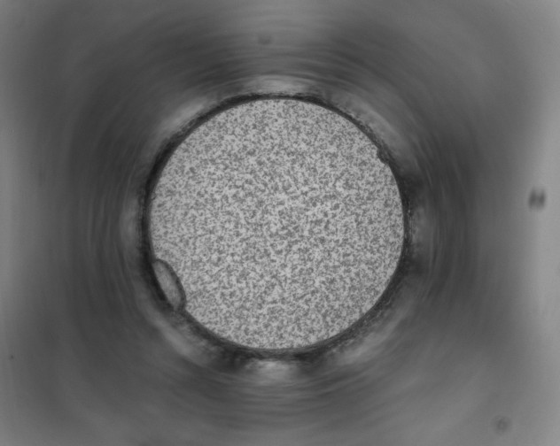 X0000101390352200808041022