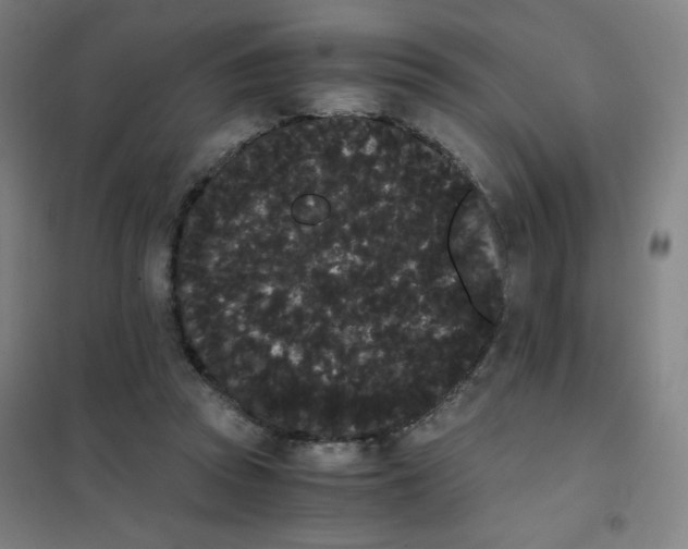 X0000101390353200808041022
