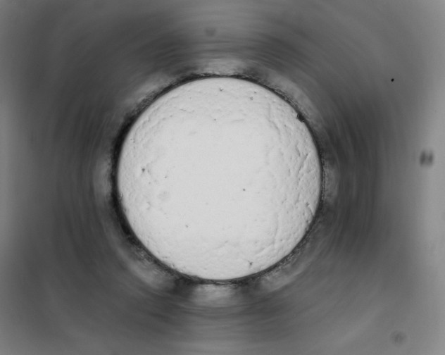 X0000101390354200808041022