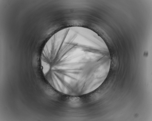 X0000101390355200808041022