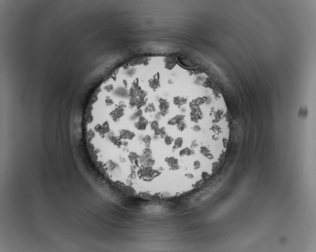 X0000101390358200808041022