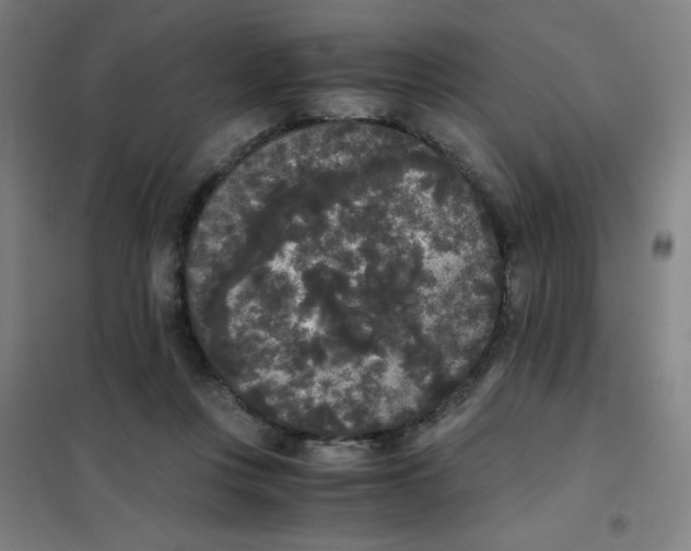 X0000101390359200808041022