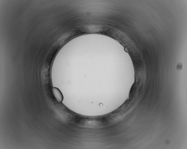 X0000101390360200808041022