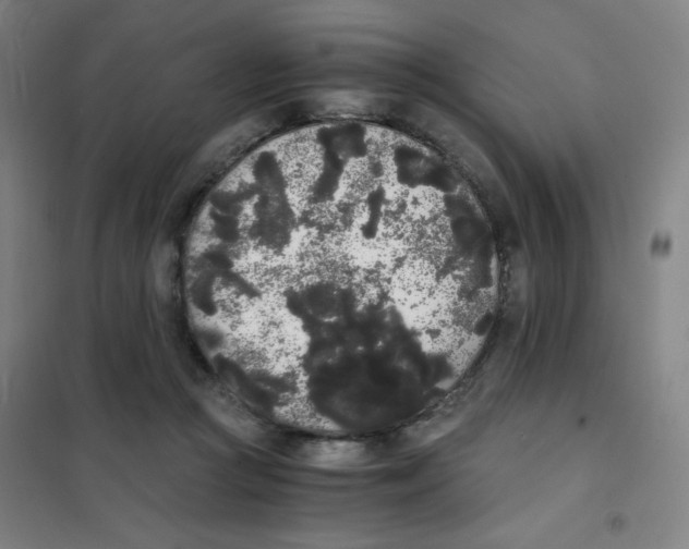 X0000101390361200808041022