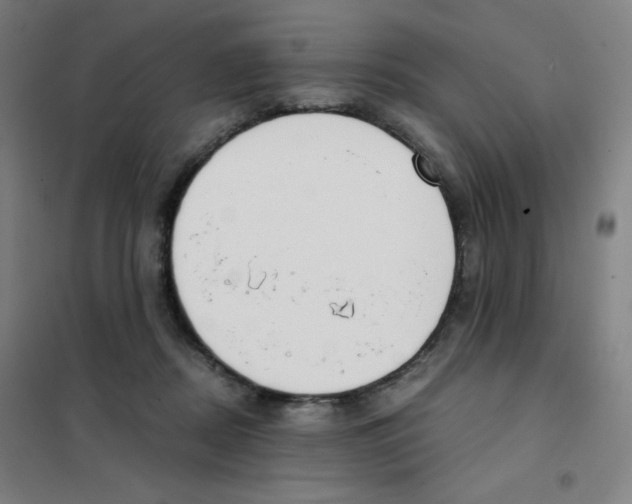 X0000101390362200808041022