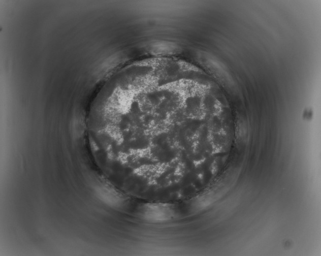 X0000101390367200808041022