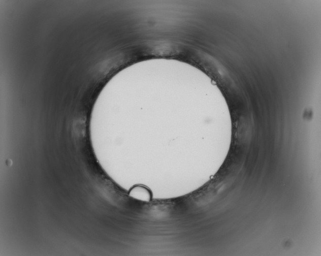 X0000101390368200808041022