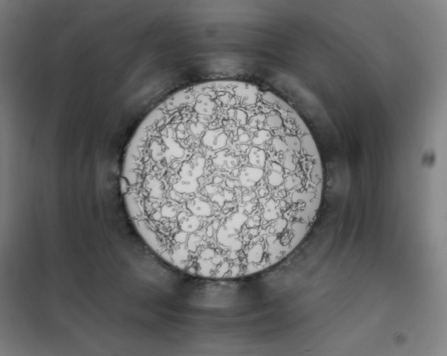 X0000101390369200808041022