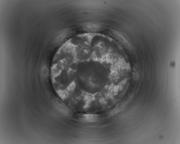 X0000101390371200808041023
