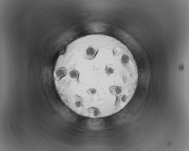 X0000101390373200808041023