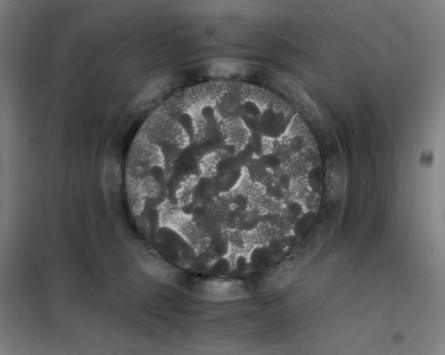 X0000101390375200808041023