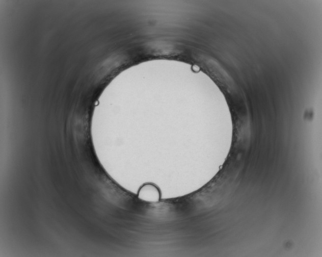 X0000101390376200808041023
