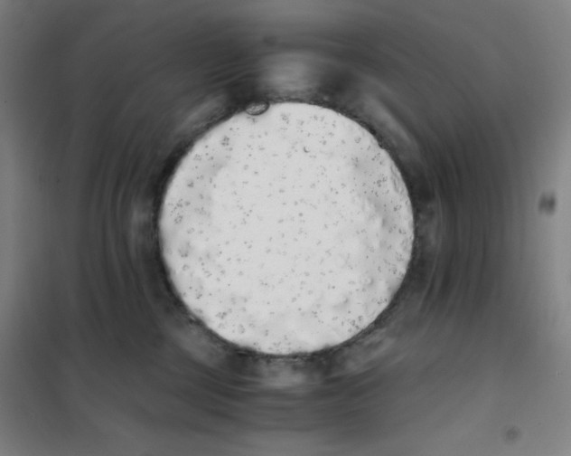 X0000101390377200808041023