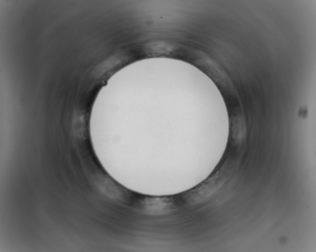 X0000101390378200808041023