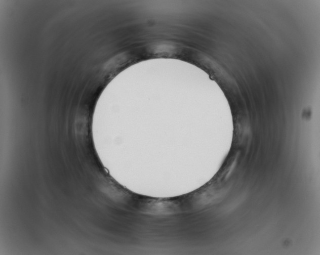 X0000101390379200808041023