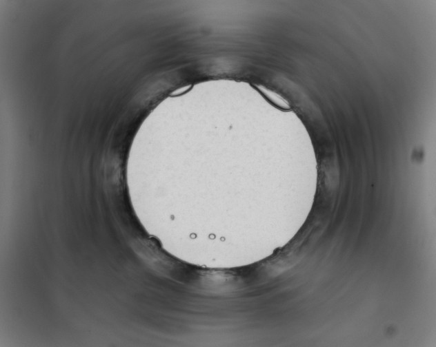 X0000101390380200808041023
