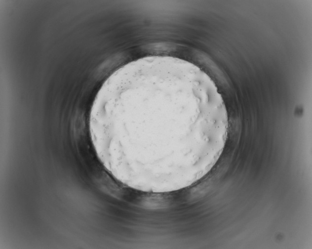 X0000101390381200808041023