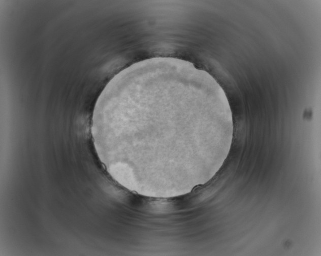 X0000101390383200808041023