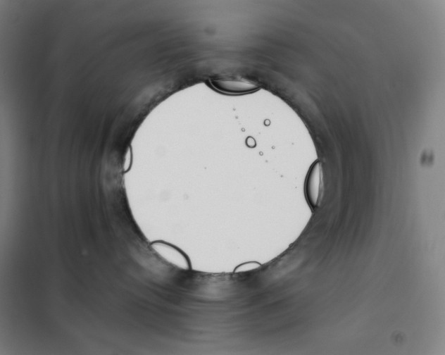 X0000101390384200808041023