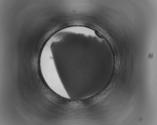 X0000101390386200808041022