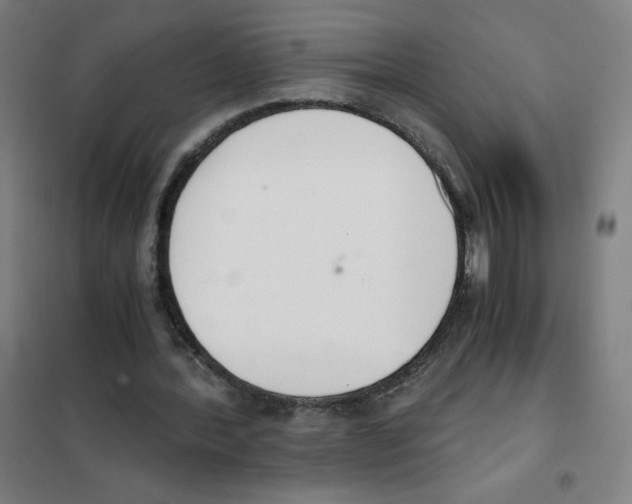 X0000101390388200808041022