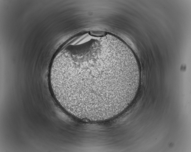 X0000101390389200808041022