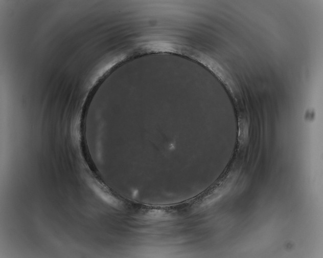 X0000101390390200808041022