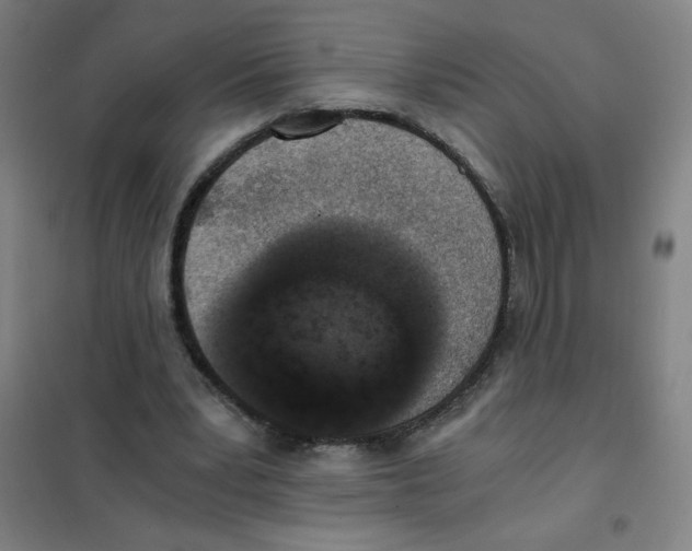 X0000101390391200808041022