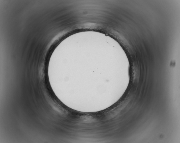 X0000101390392200808041022