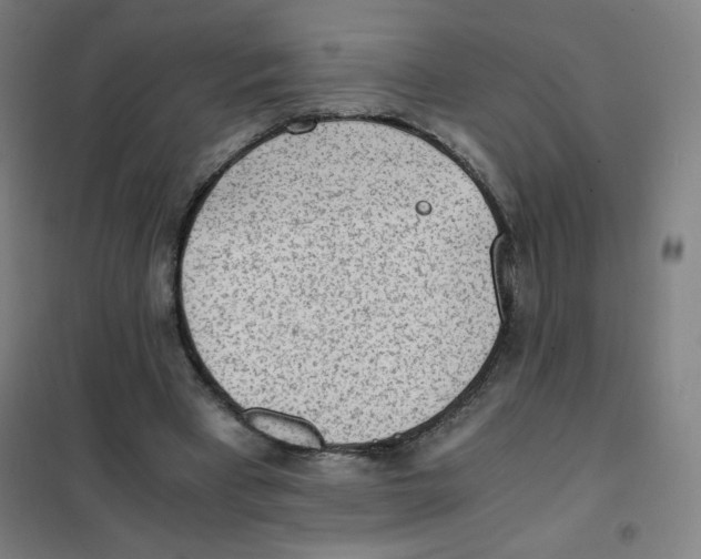 X0000101390393200808041022