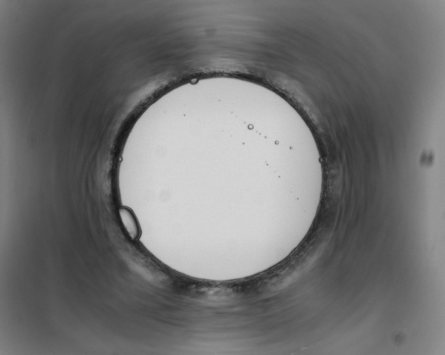 X0000101390395200808041022